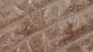 القذف الإناث مطعم كس لعق