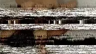 نائب الرئيس الشرب عيد الميلاد اللسان وشاعر المليون
